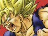Dragon Ball Tome 22 Perfect Edition