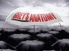 Grey's_anatomy_poster