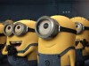 Minions