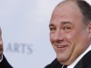Actor James Gandolfini arrives at the BAFTA Brits to Watch event in Los Angeles