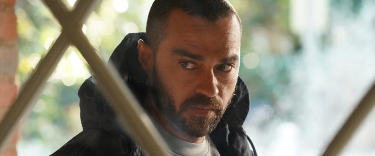 Grey’s Anatomy saison 17 Jesse Williams quitte la série après 12 ans