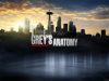 Grey’s Anatomy saison 14 : Nouveaux internes dévoilés
