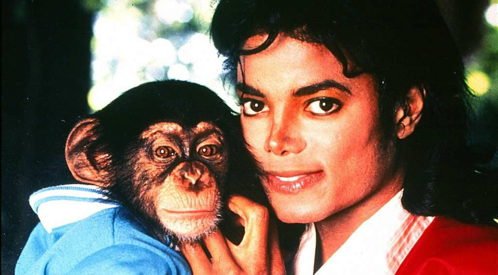 Bubbles : un film sur le singe de Michael Jackson