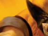 Wolverine Season One : la critique