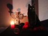 Sabrina : Premier aperçu du reboot avec Salem #Miaou