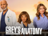 Grey’s Anatomy : La série médicale reviendra pour une saison 23